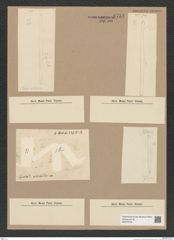 Diatomeae indet. Zeichnungen Sammlung Grunow Nr. 9754 (NHMW-BOT-W0379740)